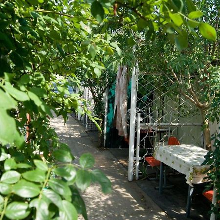 זאטוקה Sergey Rooms מראה חיצוני תמונה